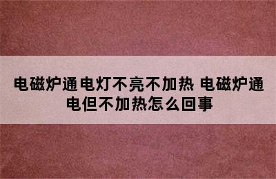 电磁炉通电灯不亮不加热 电磁炉通电但不加热怎么回事